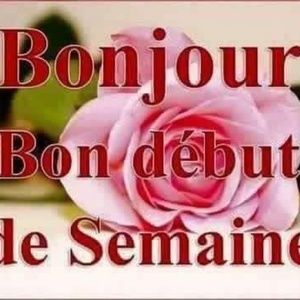 Meet your Posher, Sally